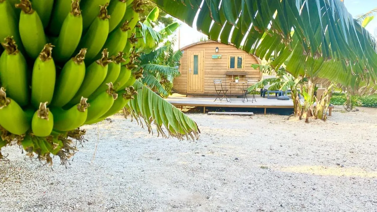 Amani Suite Con Jacuzzi Climatizado Y Piscina Buzanada España